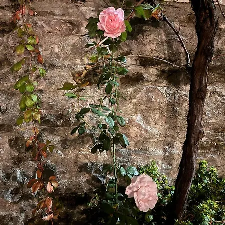 Mezini بيت للعطل Gjirokastër