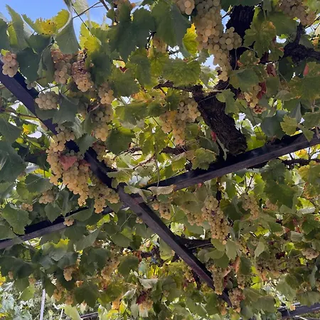 بيت للعطل Mezini Gjirokastër