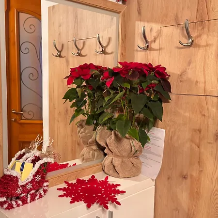 Mezini بيت للعطل *