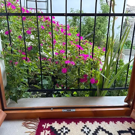 Mezini Holiday home *