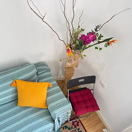 بيت للعطل Mezini