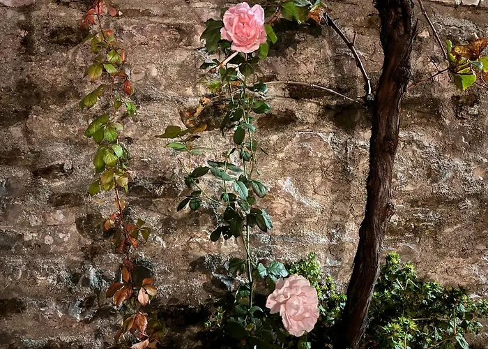 Mezini Casa vacanze Gjirokastër