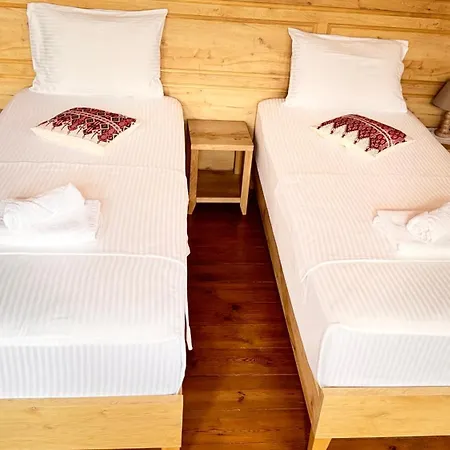 Mezini Gjirokastër